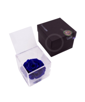 Flowercube Rosa Blu 6X6, compatto e raffinato,