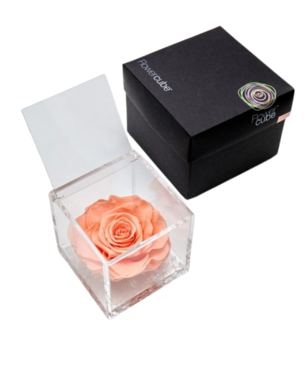 Flowercube Rosa Pesca 8X8: eleganza e armonia, perfetto per arricchire i tuoi spazi