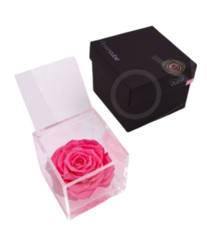 Flowercube Rosa Rosa 10X10: eleganza e dolcezza in grande formato, perfetto per arricchire i tuoi spazi con armonia e sensibilità.