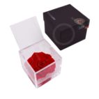 Fowercube Rosa Rossa 10X10: Amore, Passione e Raffinatezza Senza Compromessi