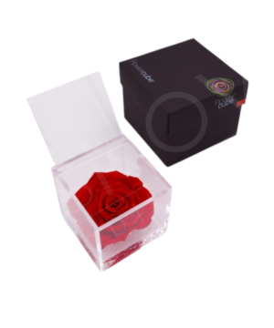 Fowercube Rosa Rossa 10X10: Amore, Passione e Raffinatezza Senza Compromessi