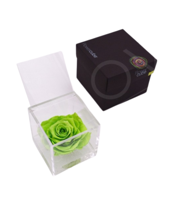 Scopri il Flowercube Rosa Verde 6X6: armonia e libertà per il tuo spazio, con un design elegante che celebra la bellezza della natura."