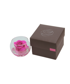 Flowercube Boccia Fucsia Fondo Effetto Pietra 8 cm con rosa stabilizzata fucsia e base naturale, ideale per decorazioni vivaci e moderne.