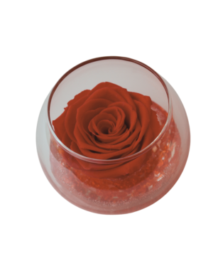 Flowercube Rossa Boccia Fondo Effetto Pietra 8 cm con rosa stabilizzata e base naturale, ideale per decorare piccoli spazi con eleganza.