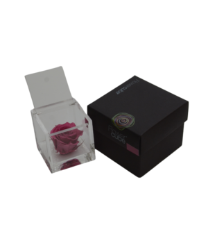 Flowercube Rosa Lilla 6X6 : eleganza e mistero